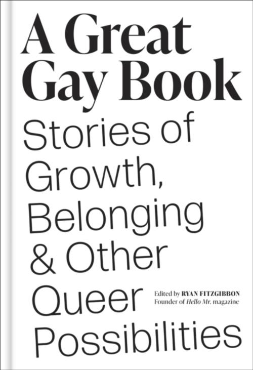 A Great Gay Book