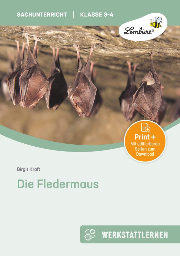 Die Fledermaus (Set)