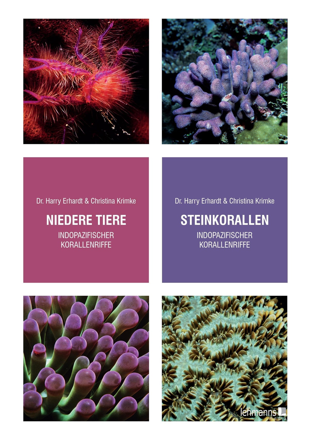 Buchcover: Steinkorallen/Niedere Tiere indopazifischer Korallenriffe