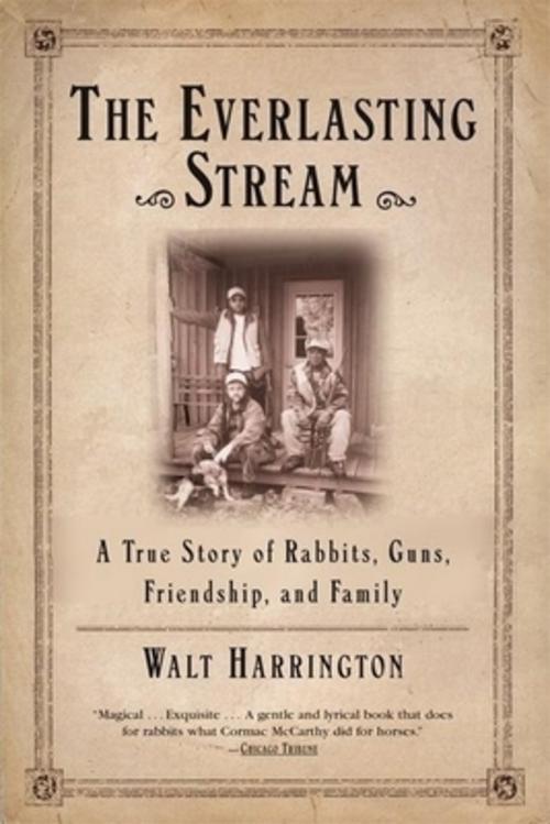 The Everlasting Stream