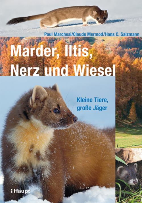 Buchcover: Marder, Iltis, Nerz und Wiesel