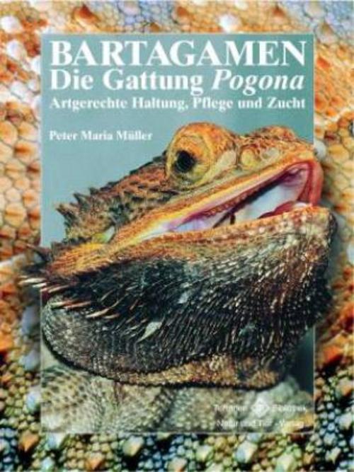 Buchcover: Bartagamen