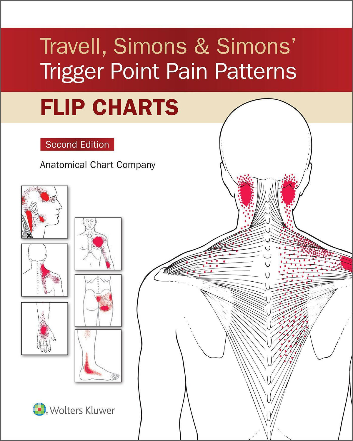 Buchcover: Travell, Simons & Simons' Trigger Point Pain Patterns Flip Charts