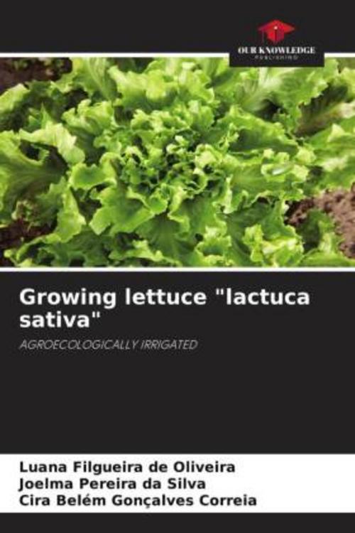 Growing lettuce \"lactuca sativa\"
