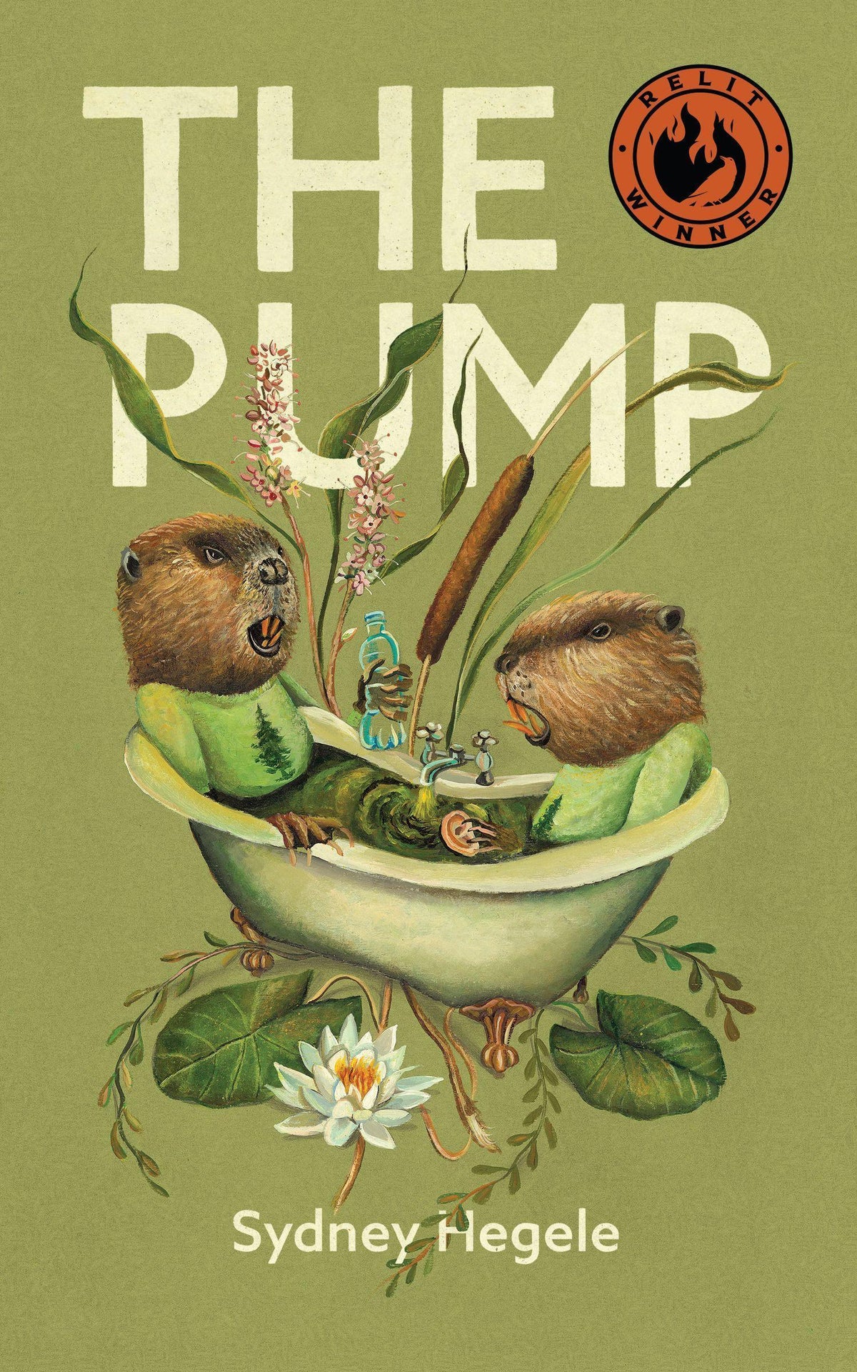 Buchcover: The Pump