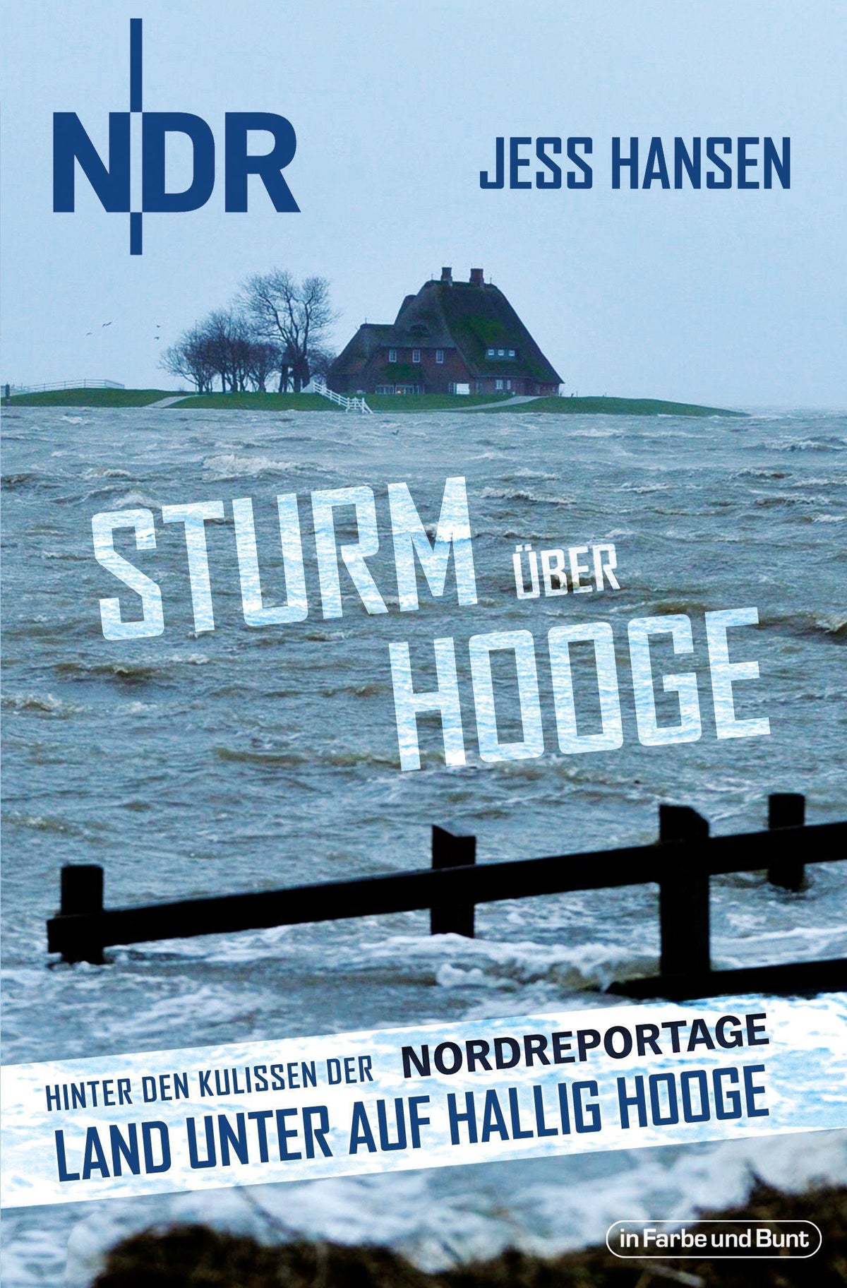 Buchcover: Sturm über Hooge