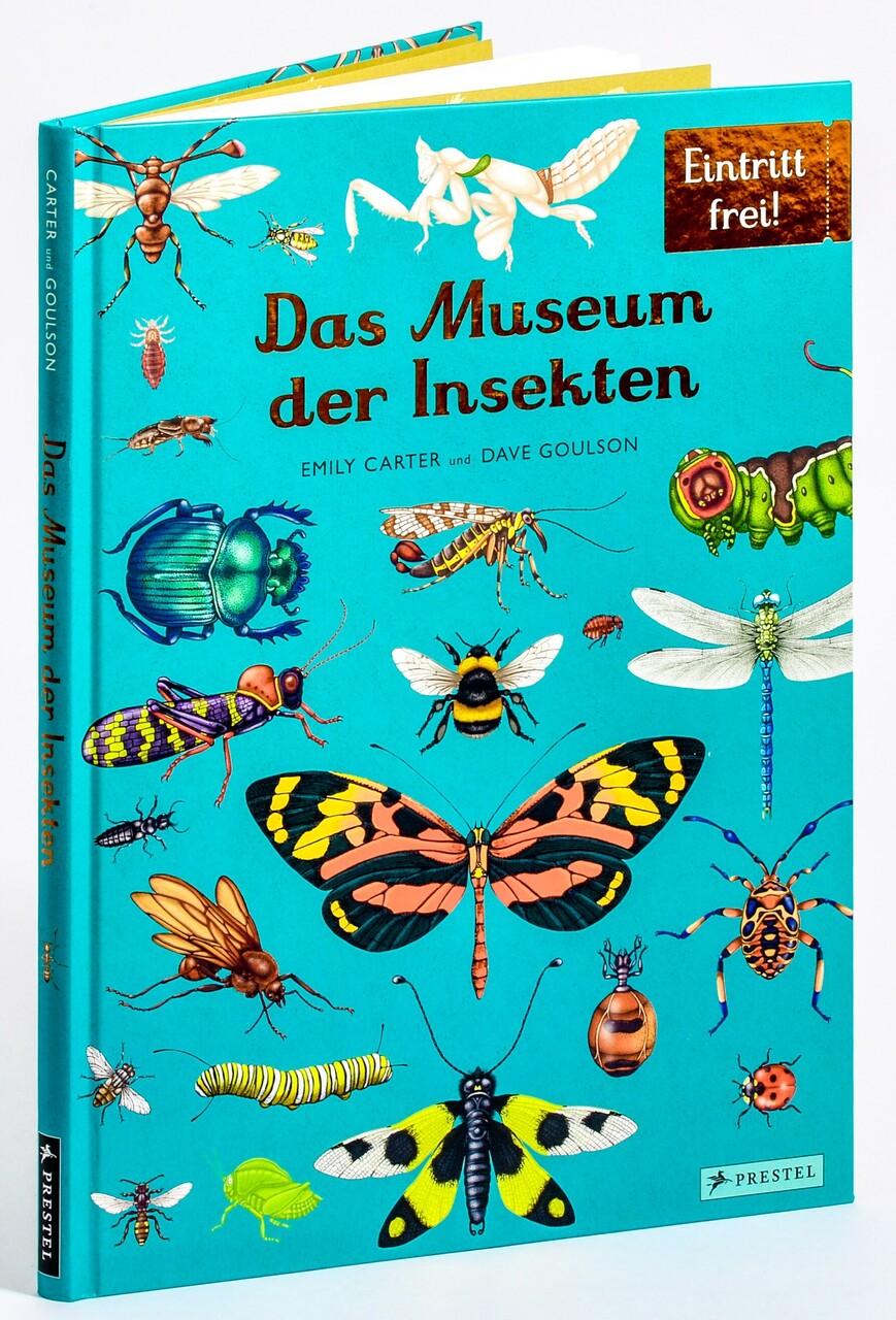 Das Museum der Insekten