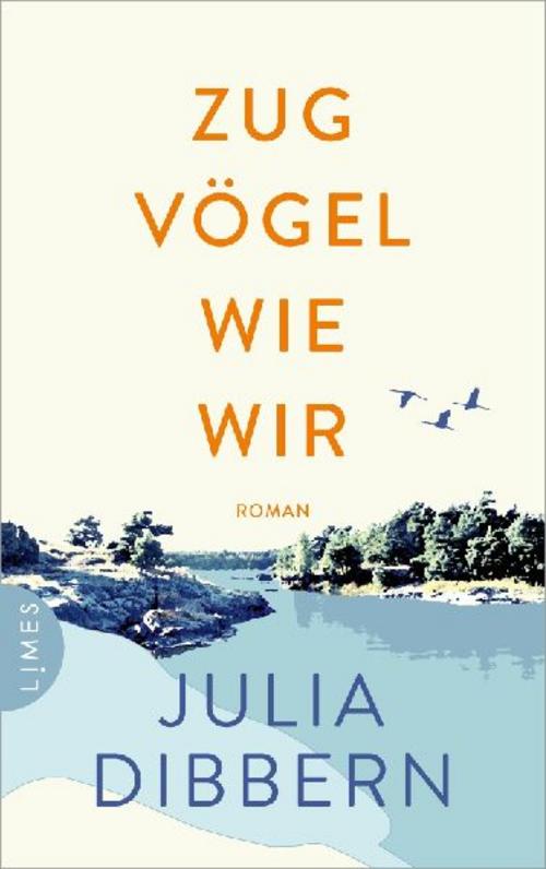 Zugvögel wie wir: Roman