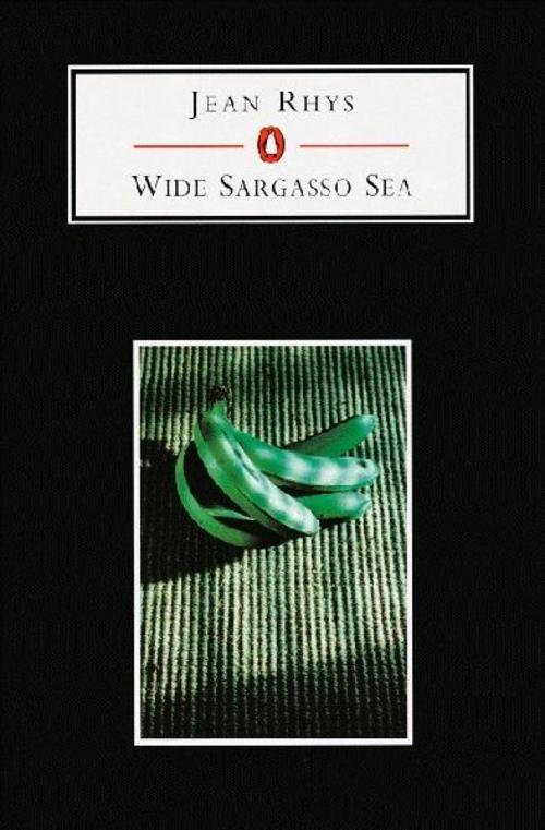 Wide Sargasso Sea