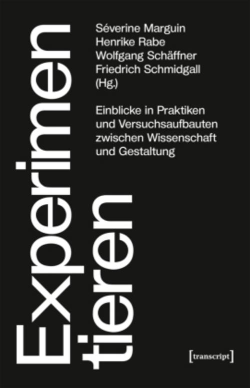 Buchcover: Experimentieren