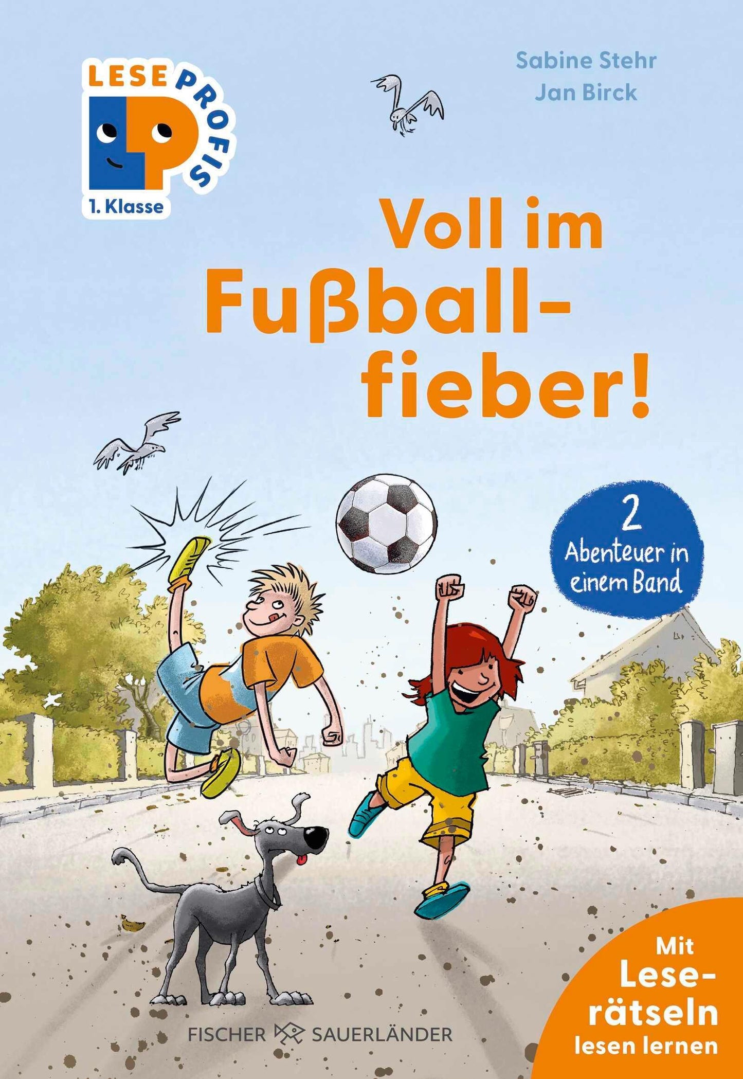 Stehr, Sabine/Leseprofis - Voll im Fußballfieber!, 1. Klasse (Doppelband)