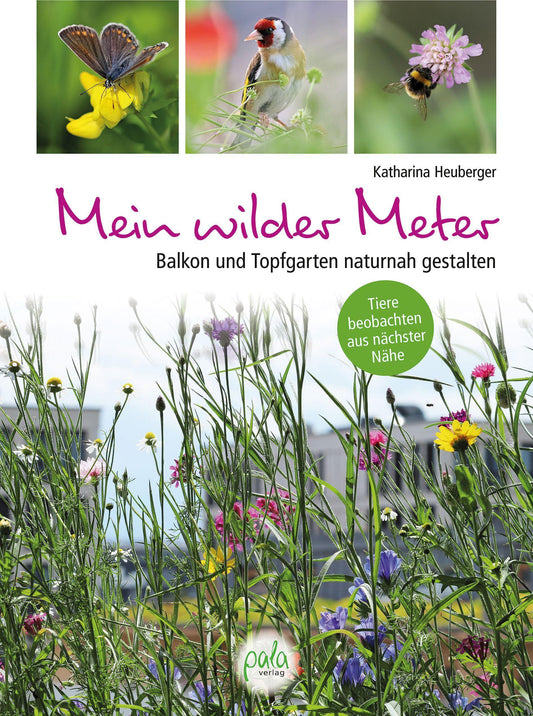 Mein wilder Meter