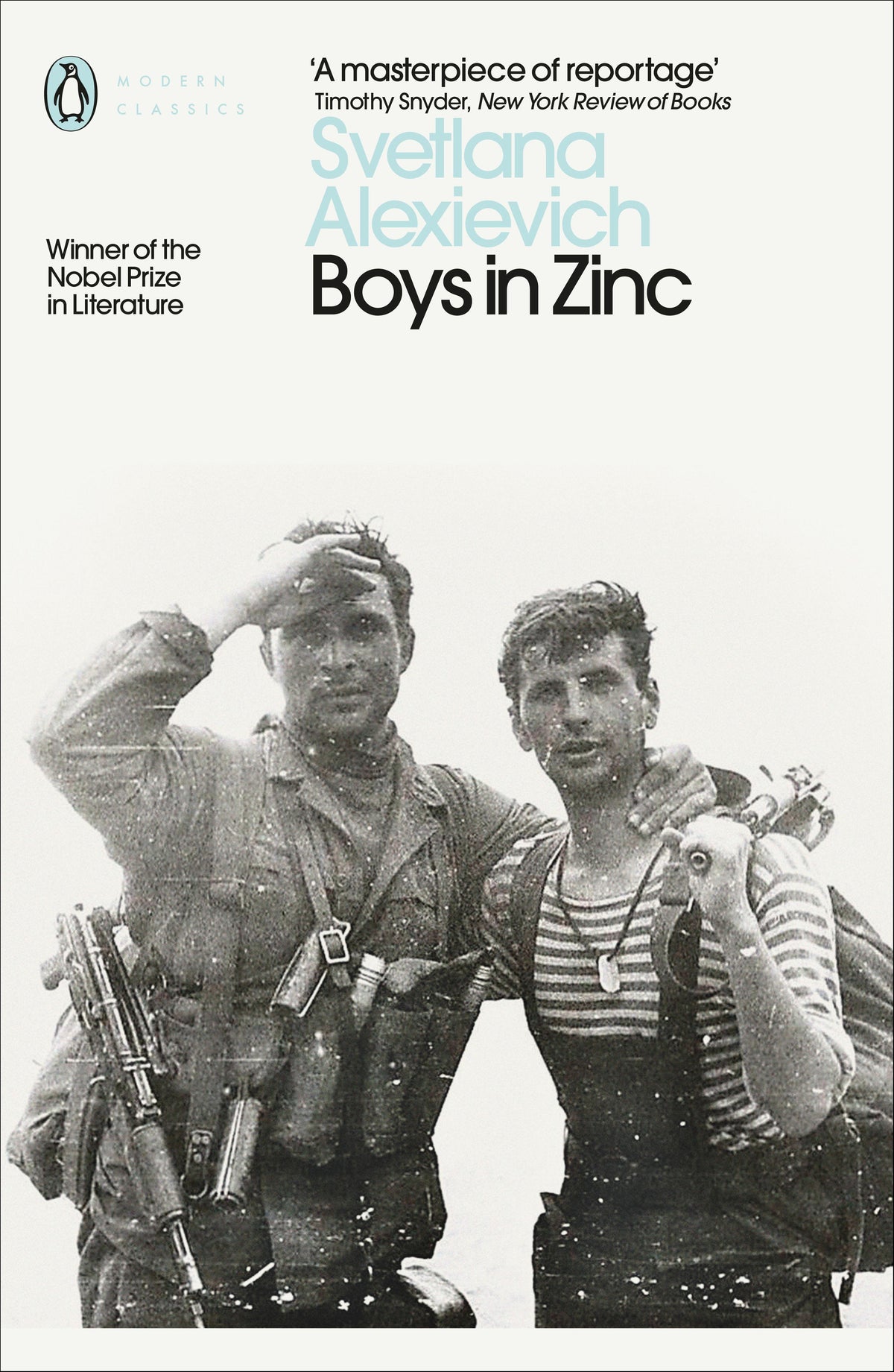 Buchcover: Boys in Zinc