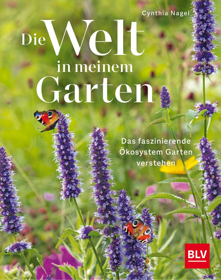 Die Welt in meinem Garten: Das faszinierende Ökosystem Garten verstehen