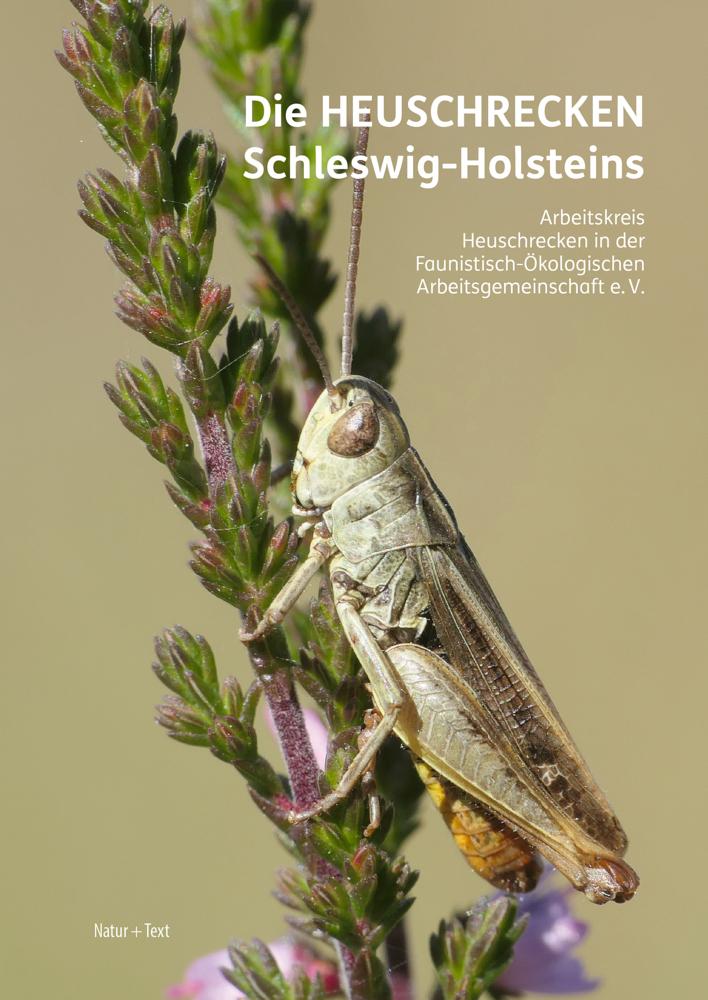 Buchcover: Die Heuschrecken Schleswig-Holsteins
