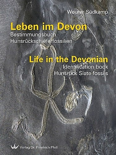 Buchcover: Leben im Devon