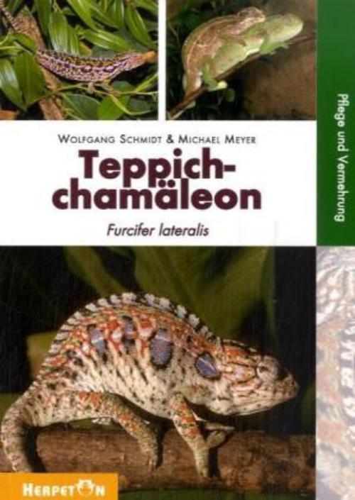 Buchcover: Teppichchamäleon