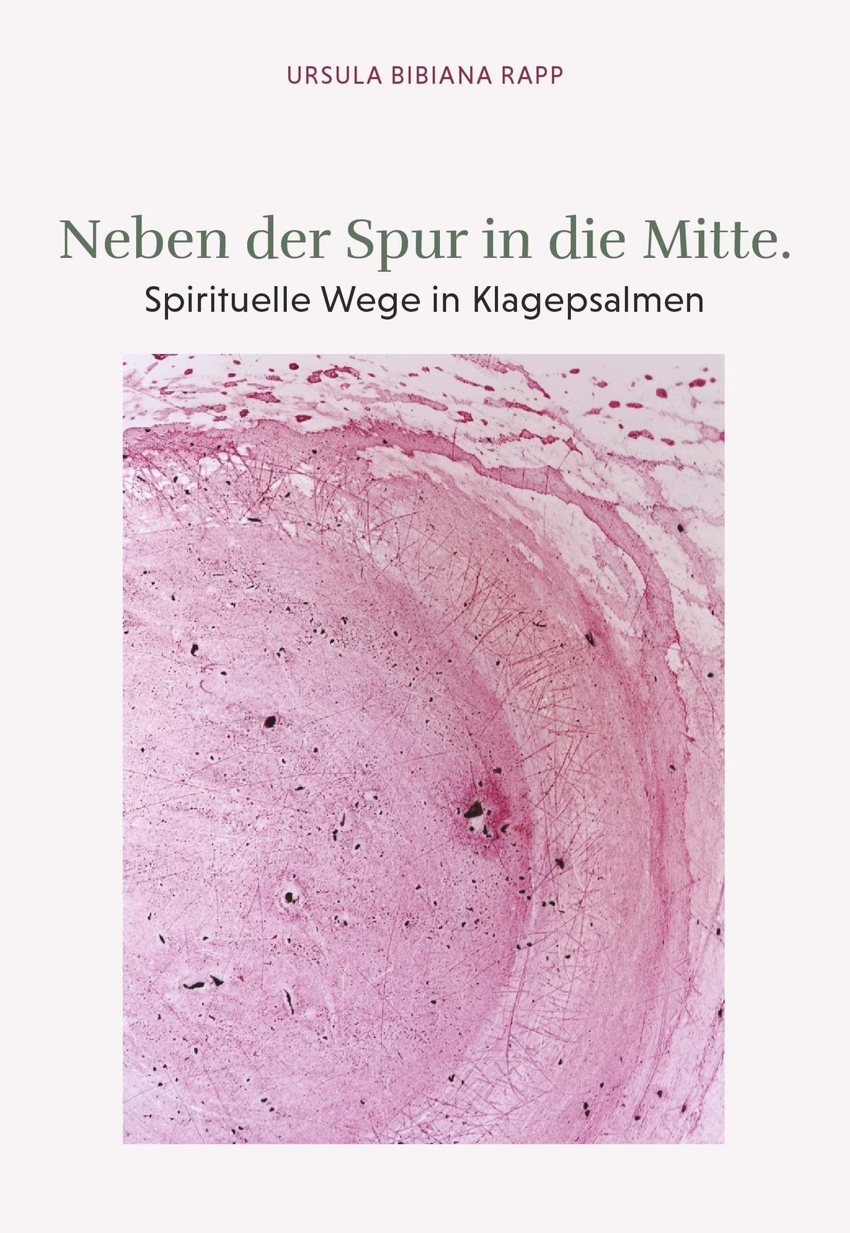 Buchcover: Neben der Spur in die Mitte