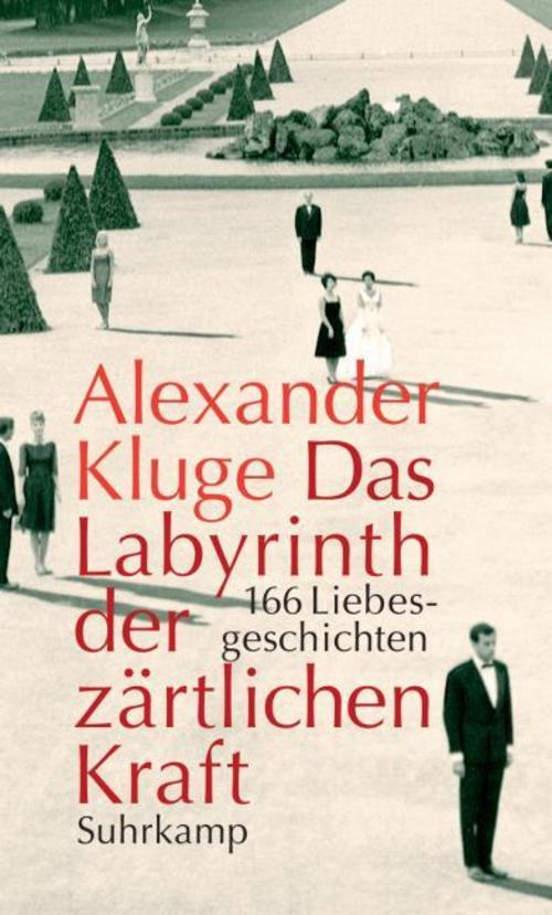 Das Labyrinth der zärtlichen Kraft, m. DVD