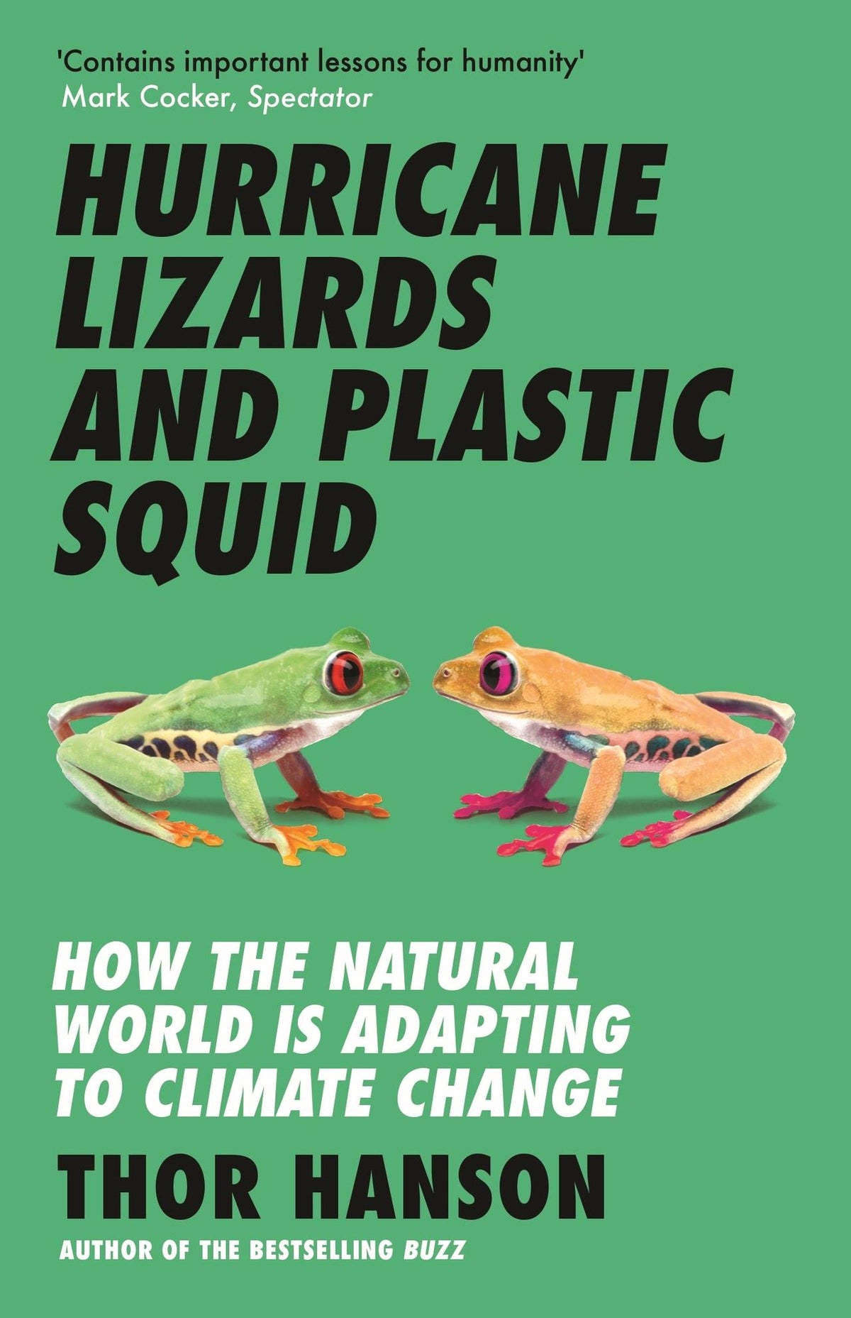 Buchcover: Hurricane Lizards and Plastic Squid