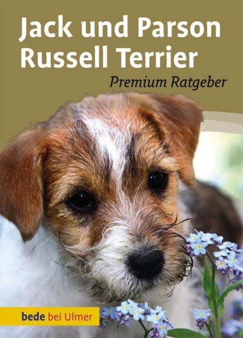 Buchcover: Jack und Parson Russell Terrier
