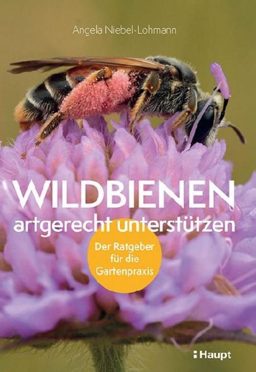 Buchcover: Wildbienen artgerecht unterstützen