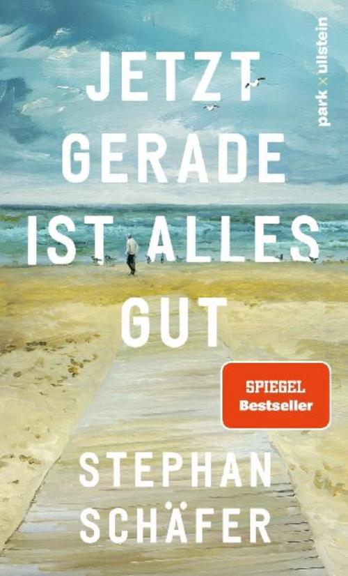 Jetzt gerade ist alles gut: Nach dem SPIEGEL-Bestseller \"25 letzte Sommer\" - der neue Roman von Erfolgsautor Stephan Schäfer