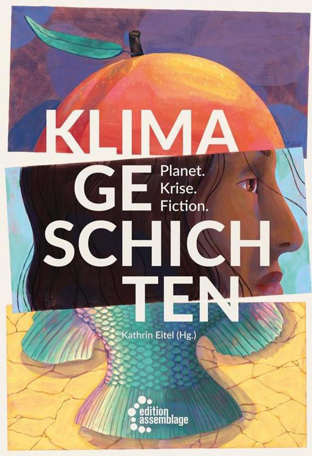Buchcover: Klimageschichten