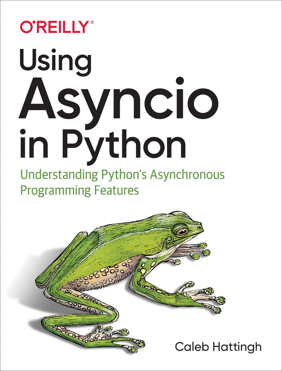 Buchcover: Using Asyncio in Python