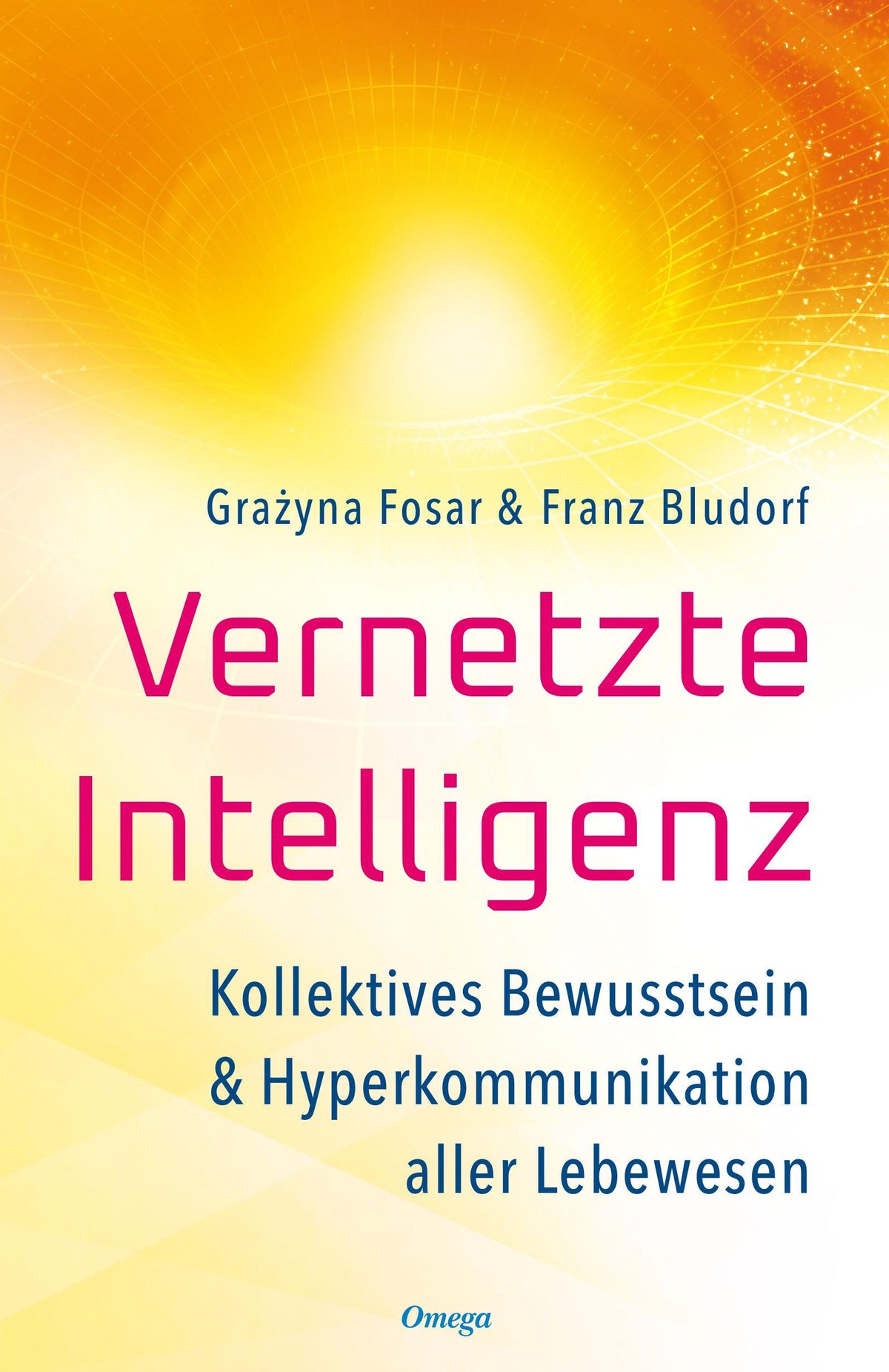 Buchcover: Vernetzte Intelligenz