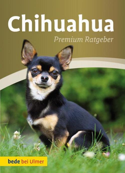 Buchcover: Chihuahua