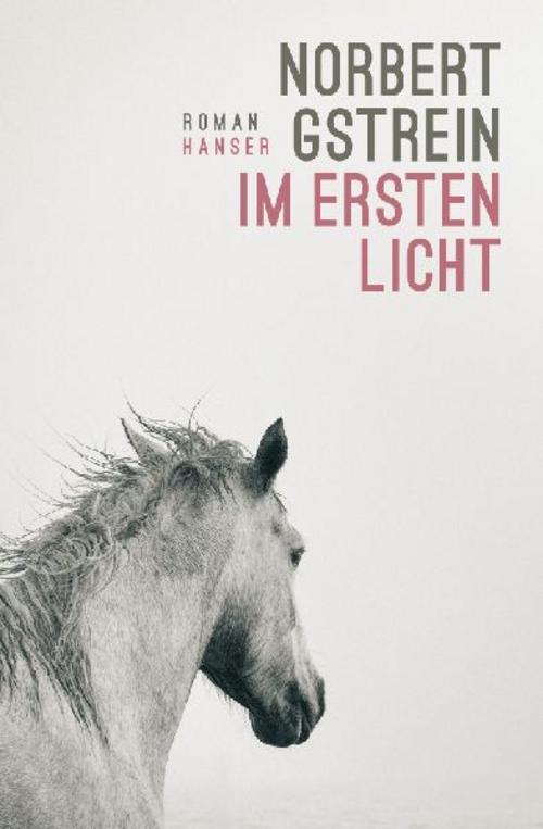 Im ersten Licht: Roman