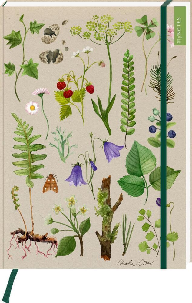 Buchcover: myNOTES Papeterie: Notizbuch A4 Naturschätze