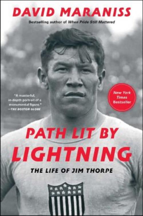 Buchcover: Path Lit by Lightning