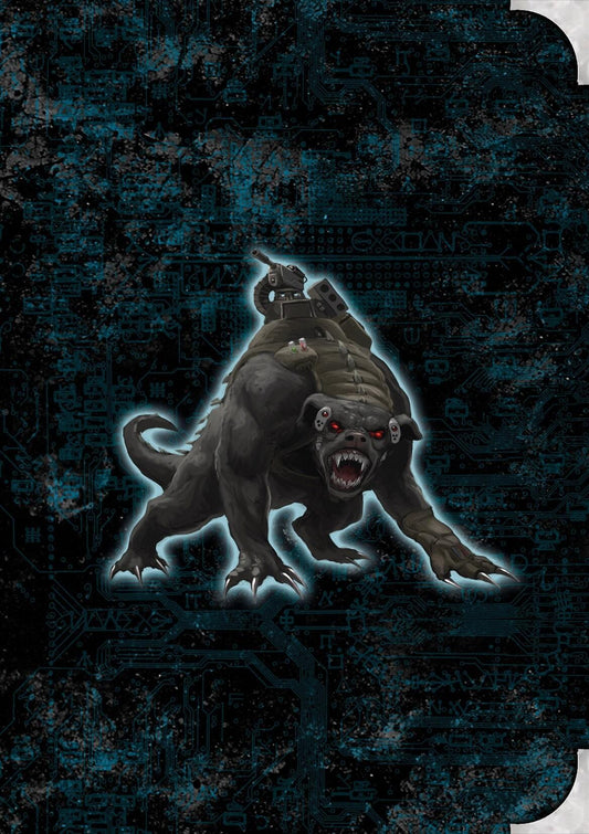 Buchcover: Shadowrun: Schattendossier 3 *limitierte Ausgabe*