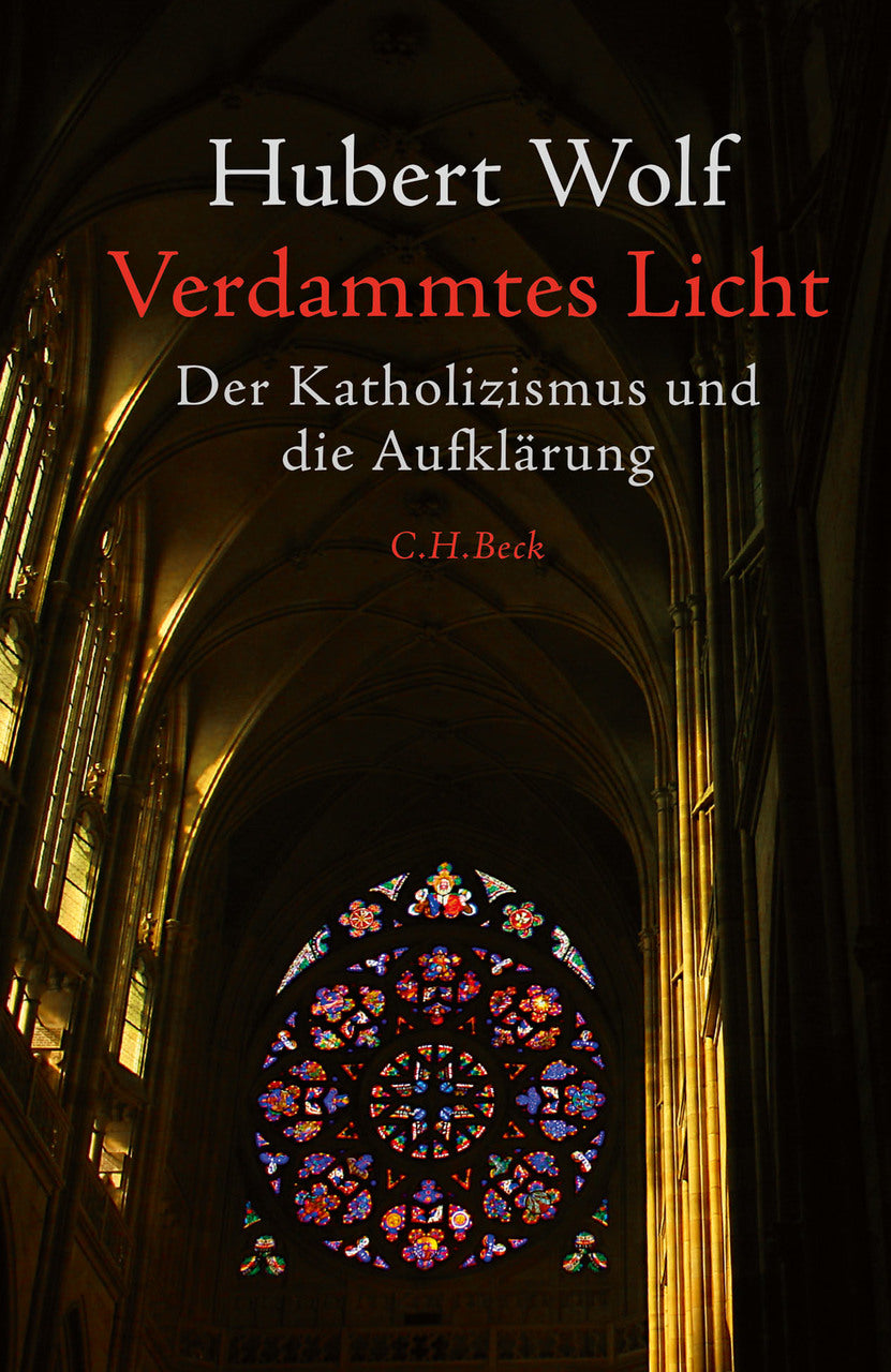 Buchcover: Verdammtes Licht