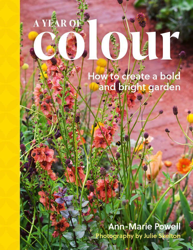 Buchcover: A Year of Colour