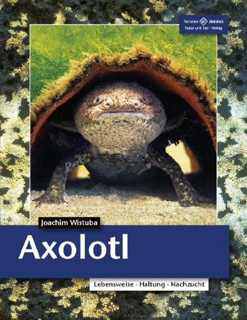 Buchcover: Axolotl