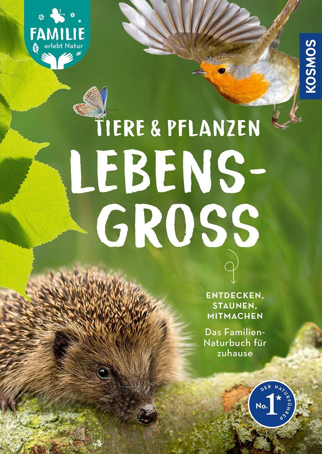 Strauß, Daniela/Tiere und Pflanzen lebensgroß