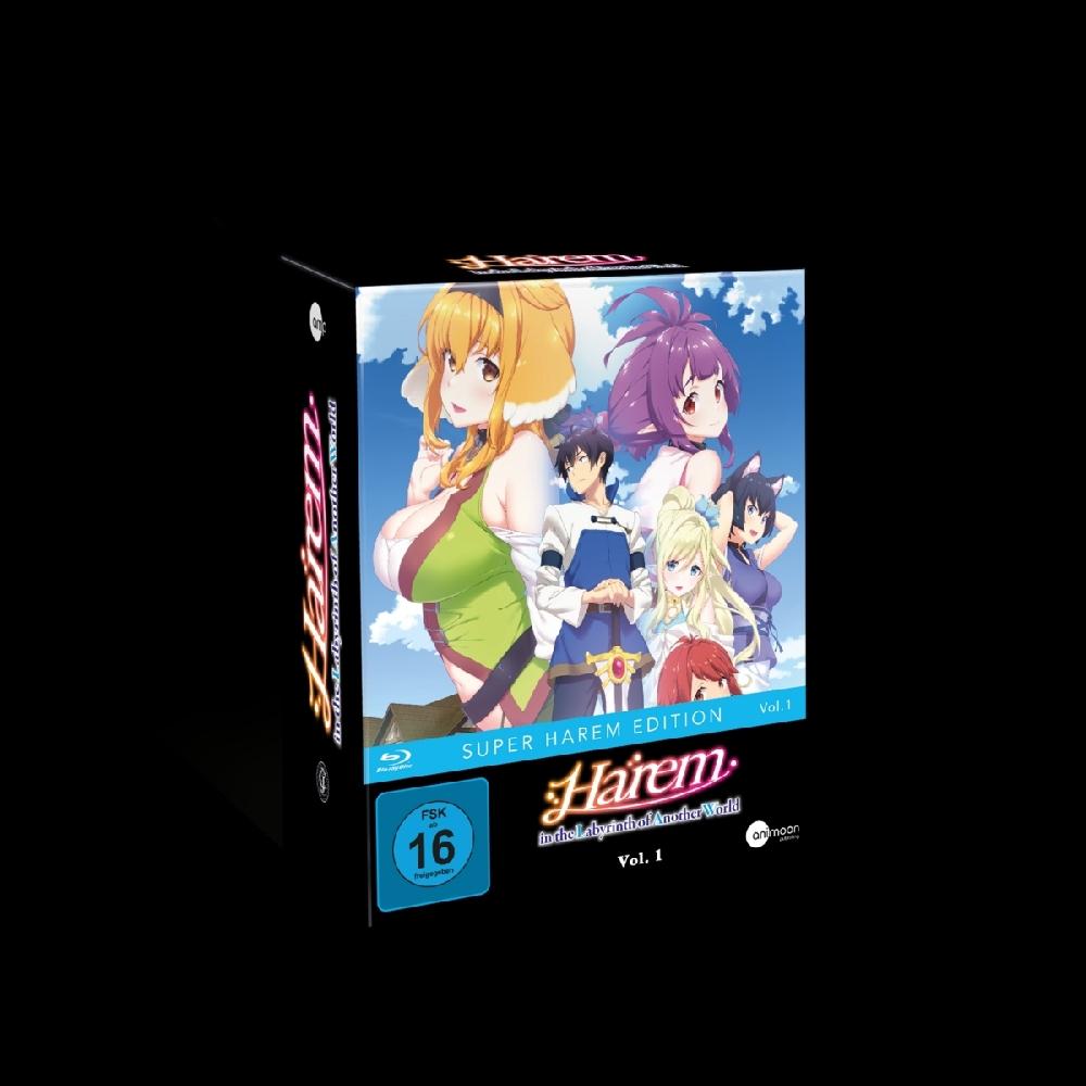 Harem in the Labyrinth of Another World - Blu-ray Vol. 1 mit Sammelschuber