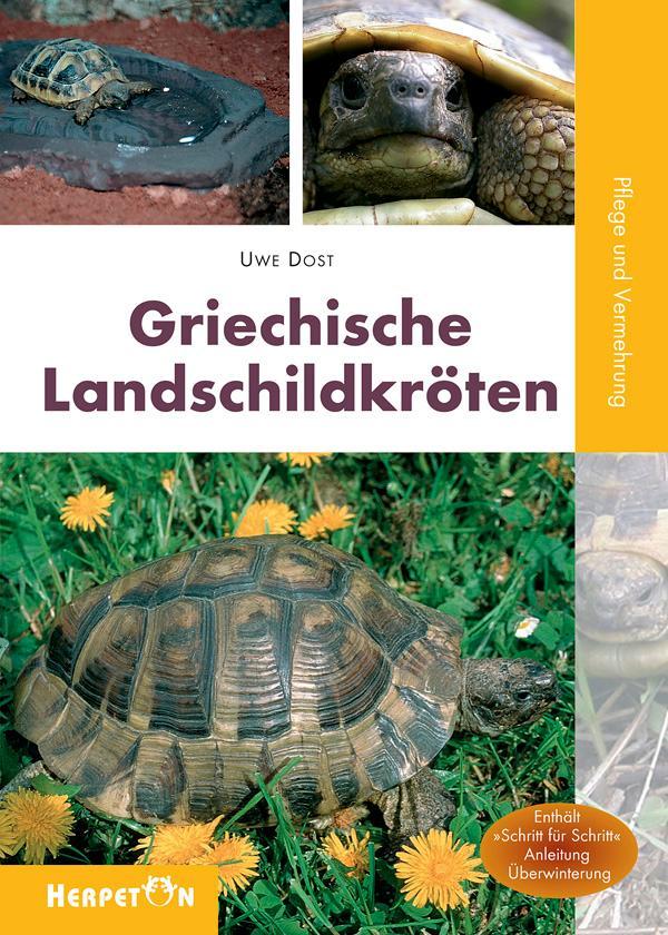 Buchcover: Griechische Landschildkröten
