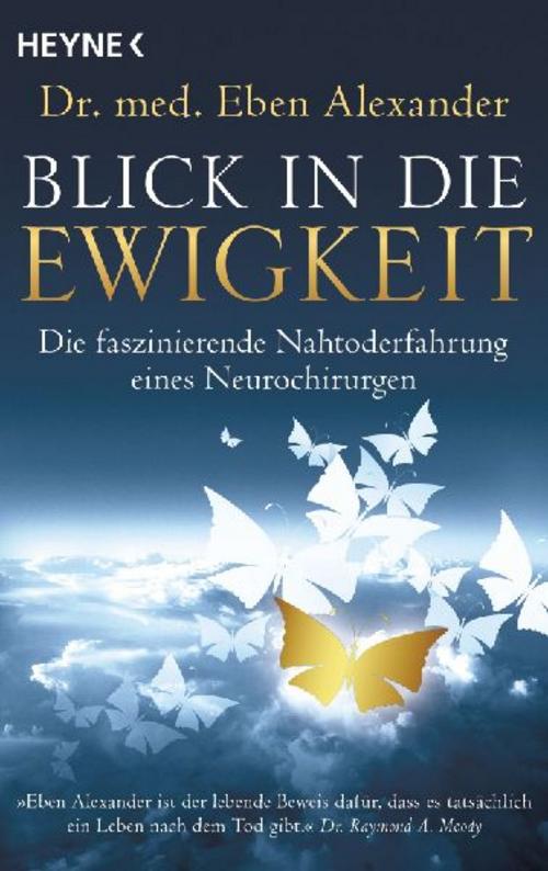 Buchcover: Alexander, Eben/Blick in die Ewigkeit