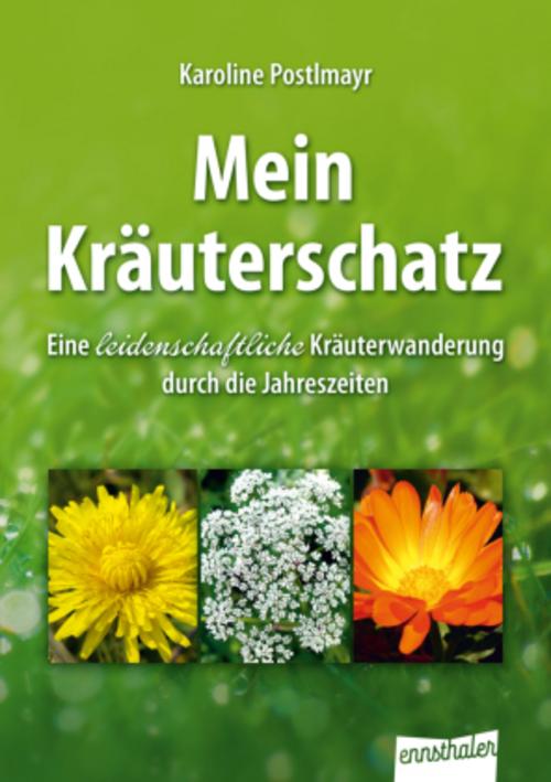 Mein Kräuterschatz