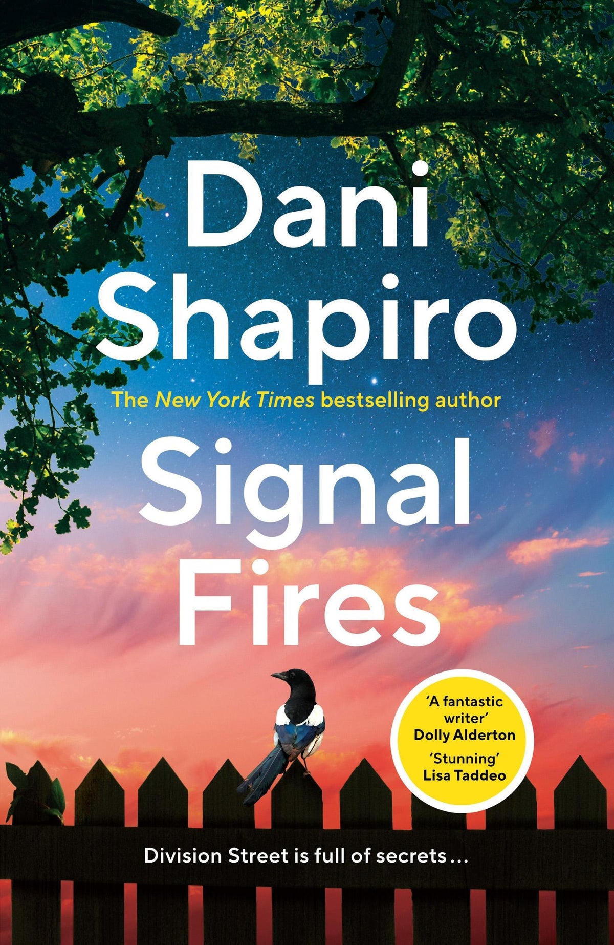 Shapiro, Dani/Signal Fires