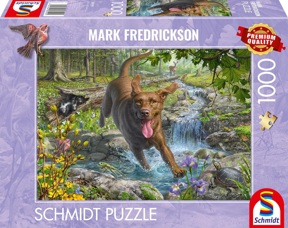 Buchcover: Hundeliebe - Frühlingsspaziergang mit Labrador Retriever