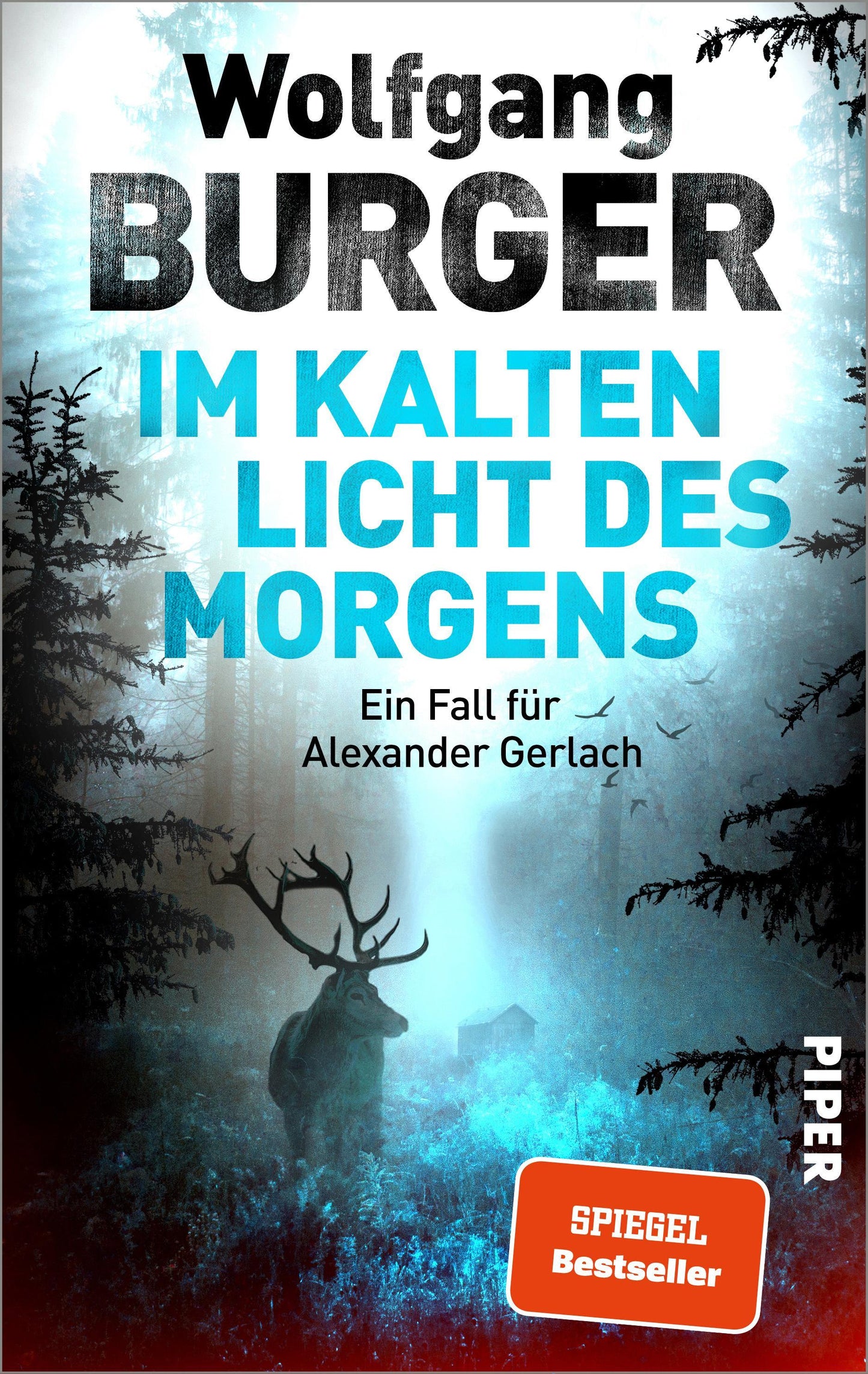 Im kalten Licht des Morgens
