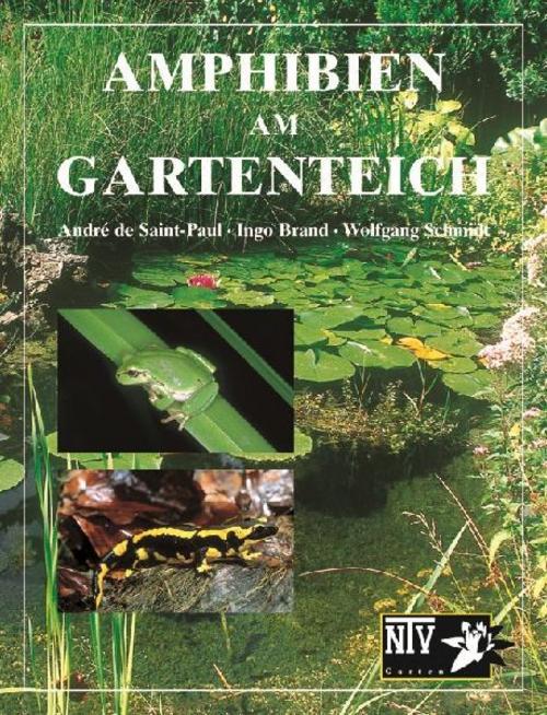 Buchcover: Amphibien am Gartenteich