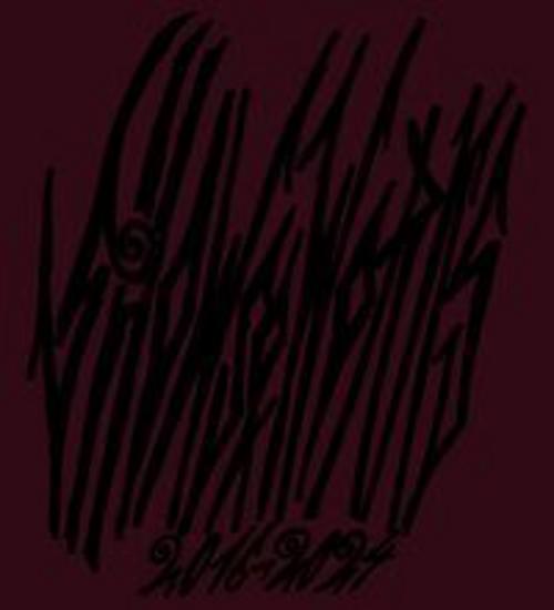 Tobias Spichtig. Shows and Works 2016 - 2024
