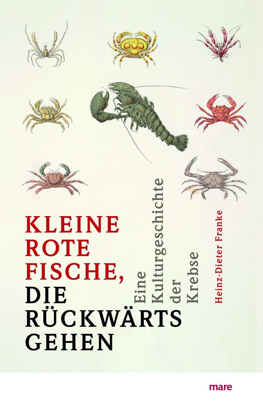 'Kleine rote Fische, die rückwärtsgehen'