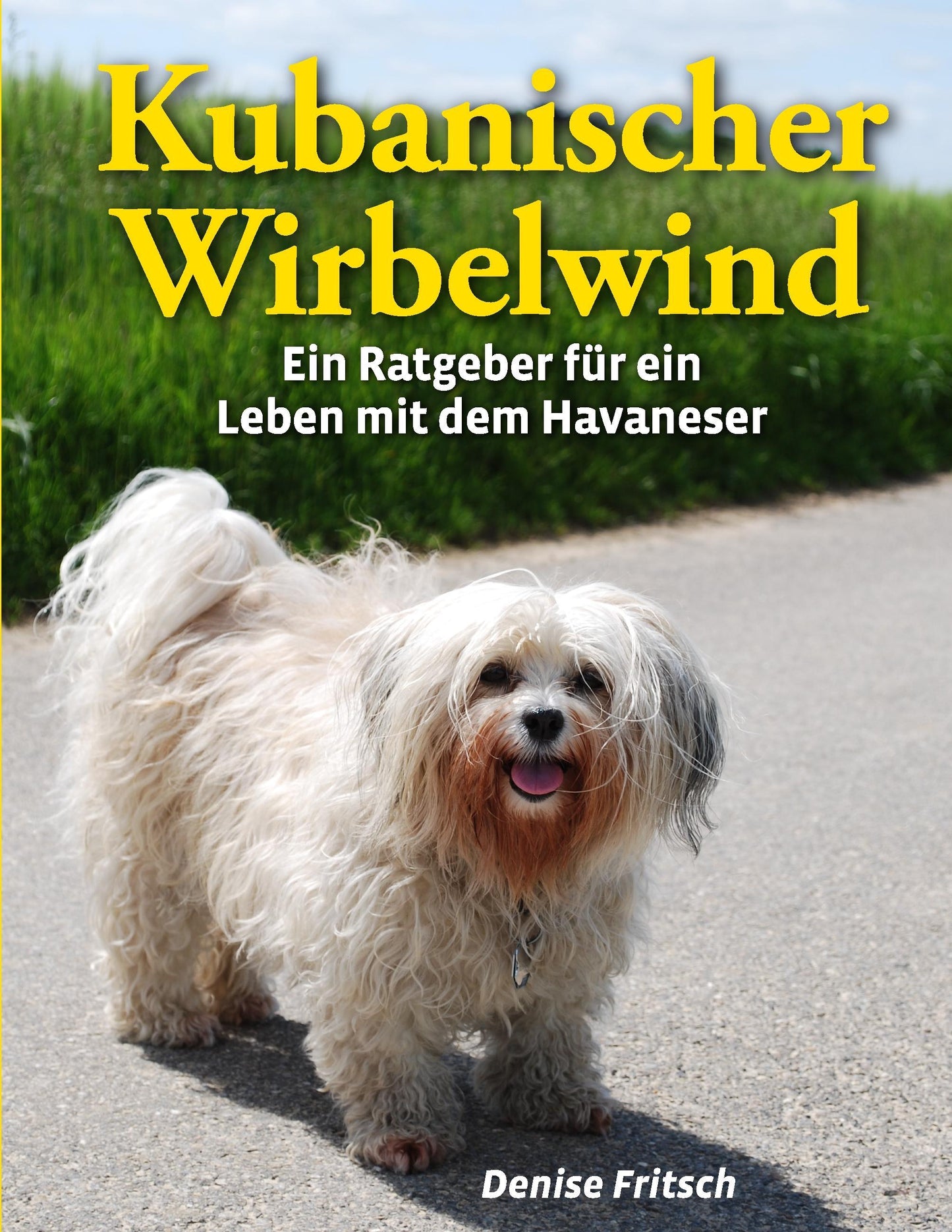 Buchcover: Kubanischer Wirbelwind